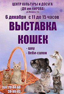 Выставка кошек